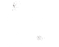 安徽青禾文化傳媒有限公司
